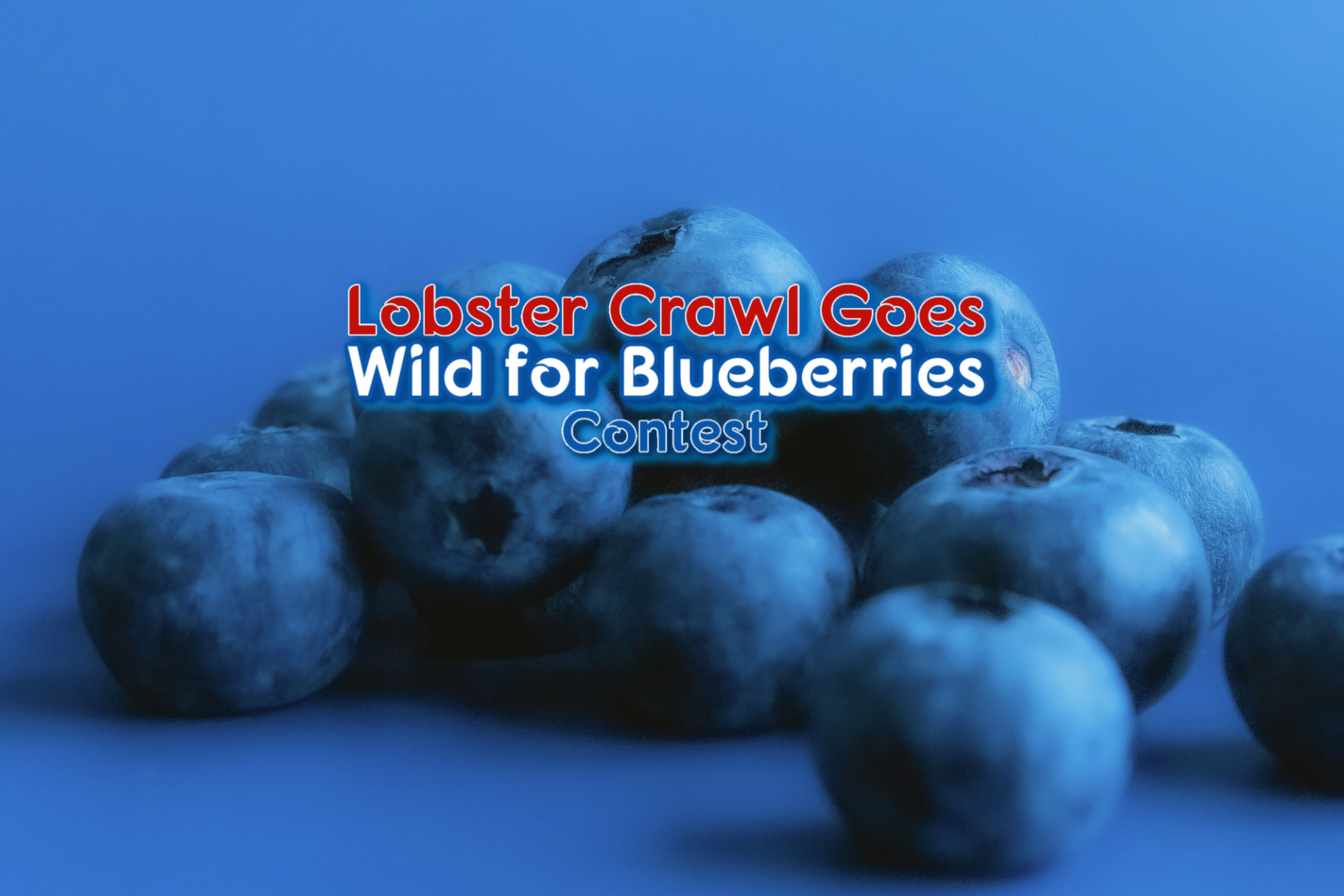 Lobster Crawl Goes Wild for Blueberries