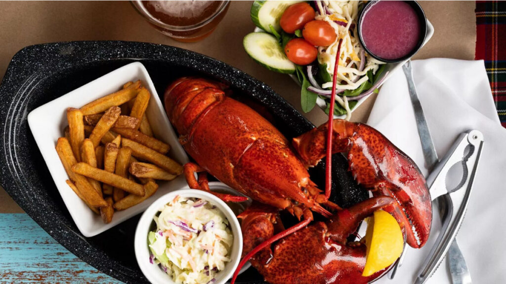 2025 Lobster Roll-Off Champs – Capt. Kat's Lobster Shack(1)