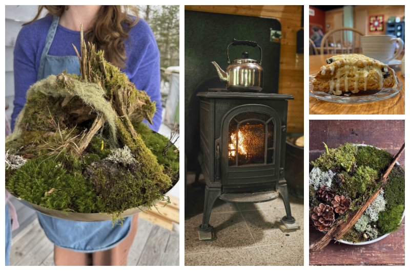 Moss Garden Workshop