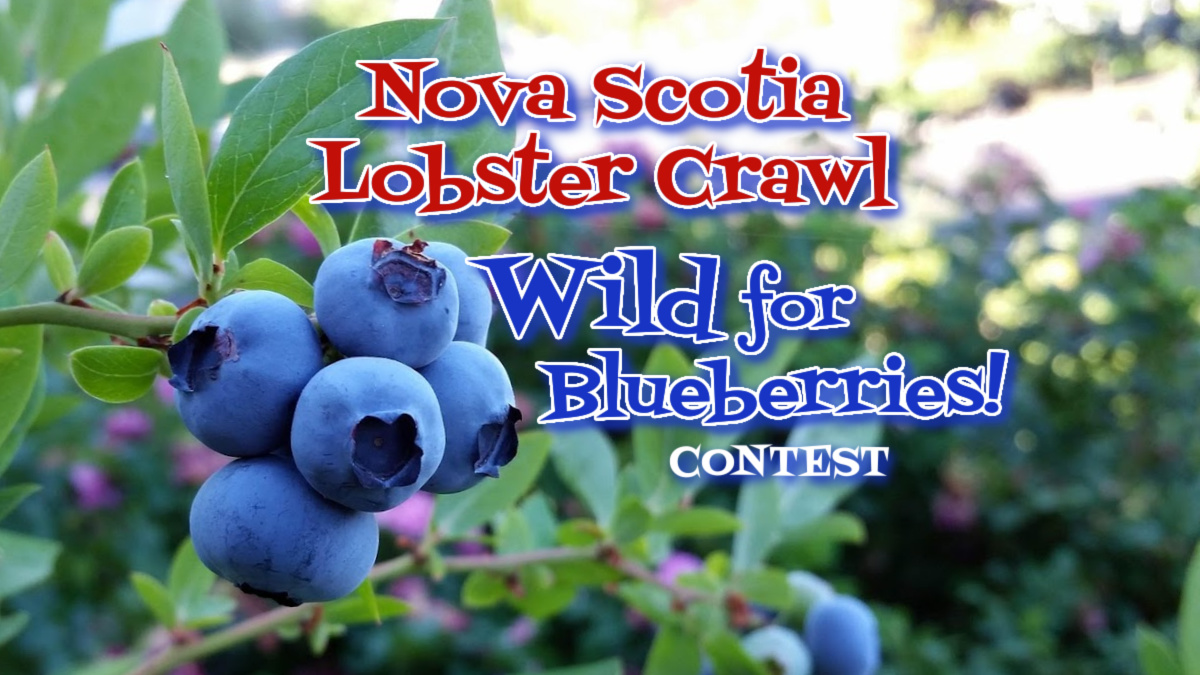 Nova Scotia Lobster Crawl Wild for Blueberries contest