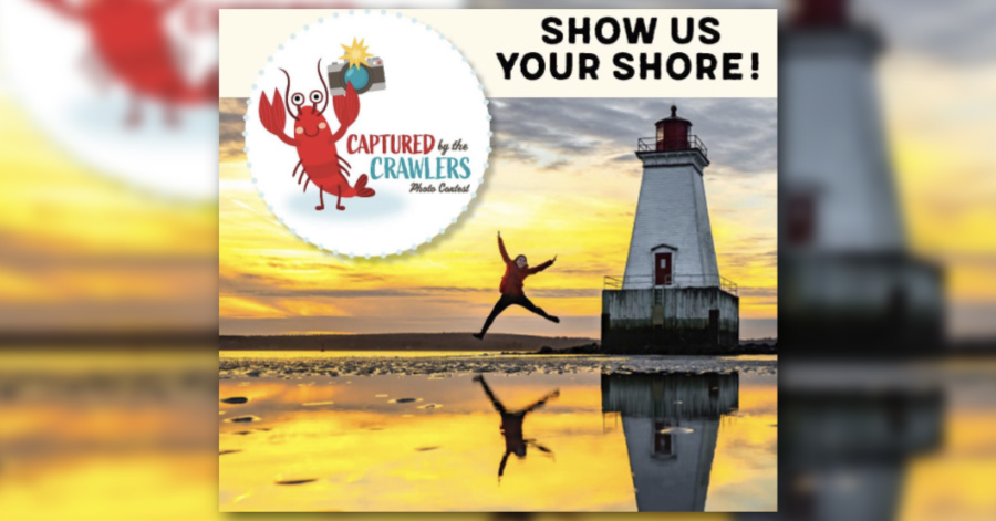 captured by the crawlers 2025